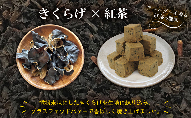 きくらげ小町 グラスフェッドバタークッキー紅茶(アールグレイ)【55g×4袋】 バタークッキー クッキー バター おやつ お菓子 焼き菓子 紅茶 アールグレイ キクラゲ きくらげ 木耳 きくらげ小町 グルテンフリー お茶うけ プレゼント 贈答 贈り物 ギフト 沖縄 北中城