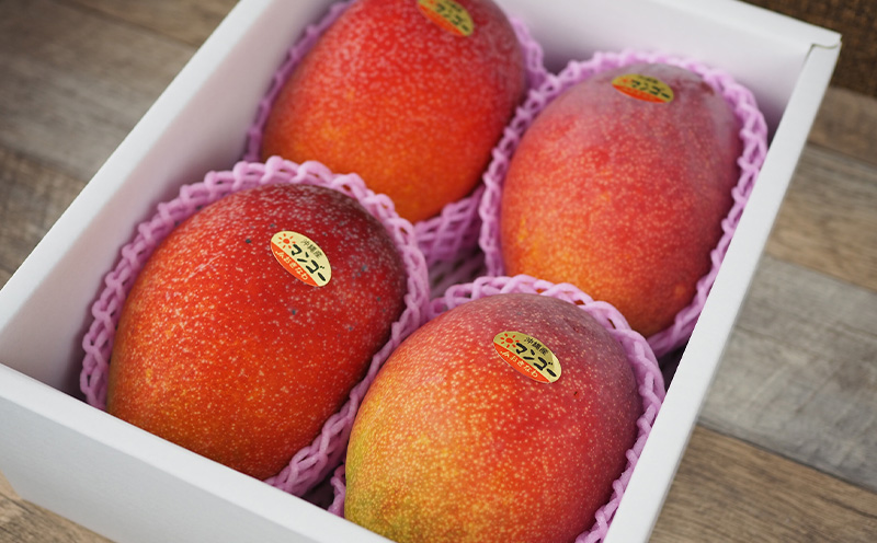 ã2026幎çºéãæ²çžçç£ãå®çãã³ãŽãŒãåç²§ç®±ã»ç§åãçŽ2kg ç£å°çŽé å
è¡äºçŽ ãã«ãŒã æç© ãã ãã® ã¢ããã«ãã³ãŽãŒ ã¢ãŒãŠã£ã³çš® å·èµ JA çã çŸå³ãã æ¿å å®ç èŽççš ãã¬ãŒã³ã æ¬ ãããã ãåãå¯ã åœç£ æ²çžçç£