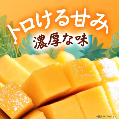 【2026年8月から順次発送・訳あり】JAおきなわ厳選 幻のキーツマンゴー2kg(2〜3玉)【配送不可地域：離島】【1724304】