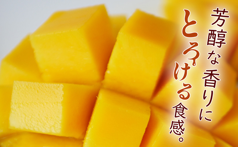 ã2026幎çºéãèš³ããåïŒæ²çžçç£ãå®çãã³ãŽãŒãçŽ1.5kgÃ2ç®± æ²çžçç£ å
è¡äºçŽ èš³ãã èš³ã¢ãª ãã«ãŒã æç© ãã ãã® ã¢ããã«ãã³ãŽãŒ ã¢ãŒãŠã£ã³çš® å·èµ JA å®¶åºçš ã詊ã çŸå³ãã æ²çž çç£è
å¿æŽ ããŒããã¹ äººæ° ãããã ãåãå¯ã