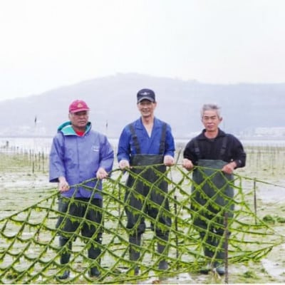 干潟の恵み!北中城の海の幸　琉球アーサスープ!毎日美味しく1年分【365個】【1713305】