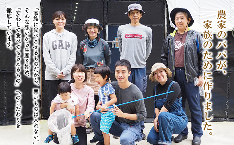 きくらげパウダー【30袋×1箱　お試し1か月分】　きくらげ小町 国産 きのこ きくらげ小町 きくらげ キクラゲ 木耳 粉末 パウダー 乾燥きくらげ 料理用 家庭料理 レシピ 乳酸菌 自然素材 お取り寄せ 個梱包 送料無料 おきなわ 沖縄 北中城村