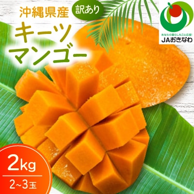 【2026年8月から順次発送・訳あり】JAおきなわ厳選 幻のキーツマンゴー2kg(2〜3玉)【配送不可地域：離島】【1724304】