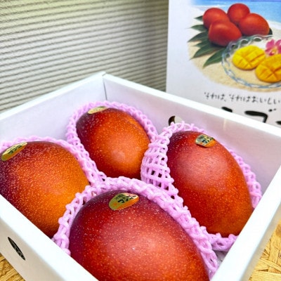 【2026年6月から順次発送・化粧箱】JAおきなわ厳選 秀品アップルマンゴー2kg(4〜5玉)【配送不可地域：離島】【1724300】