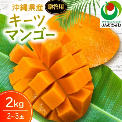 【2026年8月から順次発送・贈答用】JAおきなわ厳選 幻のキーツマンゴー2kg(2〜3玉)【配送不可地域：離島】【1724305】