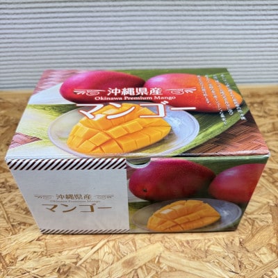 【2026年6月から順次発送・化粧箱】JAおきなわ厳選 秀品アップルマンゴー1kg(2〜3玉)【配送不可地域：離島】【1724299】