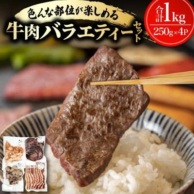 牛肉バラエティーセット 1kg(カルビ・中落カルビ・タン・マルチョウ 各種250g)【配送不可地域：離島】【1725884】