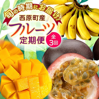 【発送月固定定期便】JAおきなわ厳選フルーツセット(パッションフルーツ・マンゴー・島バナナ)全3回【配送不可地域：離島】【4080887】