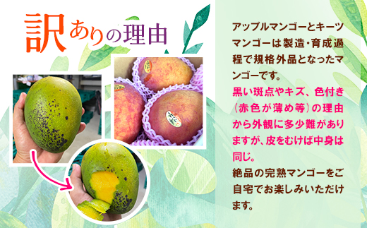 ãçºéæåºå®å®æäŸ¿ãJAãããªãå³éž!å£ç¯ã®ååœãã«ãŒã 西åçºã®æ¬ã®å³èŠããå±ãå
š4åãé
éäžå¯å°åïŒé¢å³¶ãã4080888ã