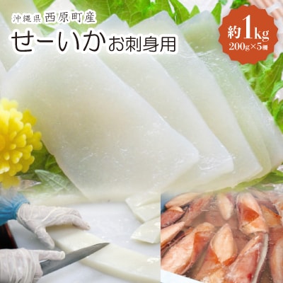 セーイカ お刺身用 約1kg(200g×5柵)【配送不可地域：離島】【1564825】