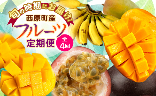 【発送月固定定期便】JAおきなわ厳選!季節の南国フルーツ 西原町の旬の味覚をお届け全4回【配送不可地域：離島】【4080888】