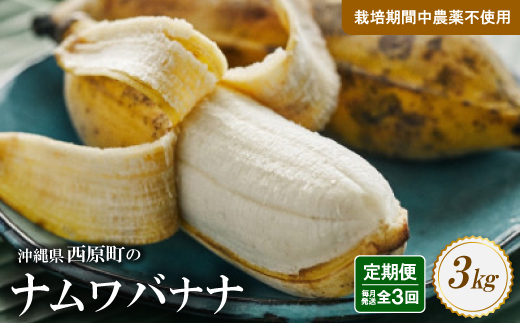 【毎月定期便】西原町の栽培期間中農薬不使用のナムワバナナ3kg全3回【4069633】
