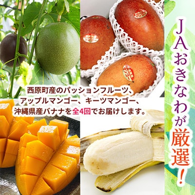 【発送月固定定期便】JAおきなわ厳選!季節の南国フルーツ 西原町の旬の味覚をお届け全4回【配送不可地域：離島】【4080888】