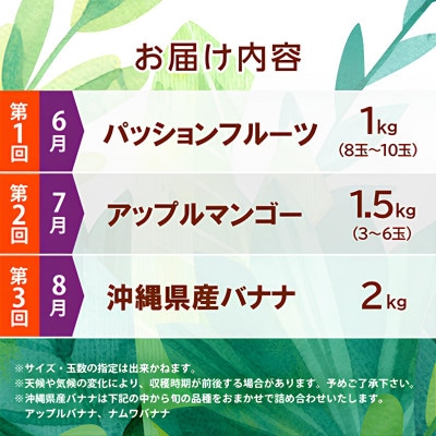 【発送月固定定期便】JAおきなわ厳選フルーツセット(パッションフルーツ・マンゴー・島バナナ)全3回【配送不可地域：離島】【4080887】