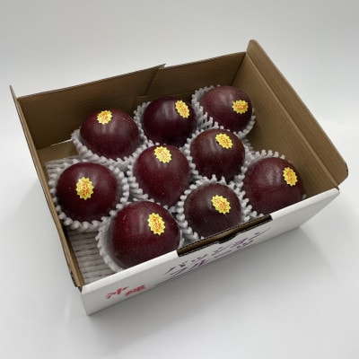 【2026年5月から順次発送・贈答用】パッションフルーツ1.0kg【1494497】