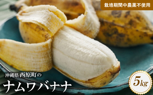 西原町の栽培期間中農薬不使用のナムワバナナ5kg【1616146】