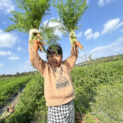 有機JAS認証農園で楽しむ!小橋川ファーム野菜の収穫体験1名様【1666288】