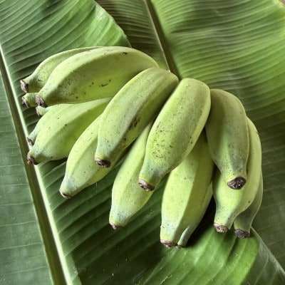 JA縺翫″縺ェ繧上′蜴ウ驕ク!蟄」遽縺ョ豐也ク逵檎肇繝舌リ繝顔エ2kg(譌ャ縺ョ蜩∫ィョ縺翫∪縺九○)縲1694030縲