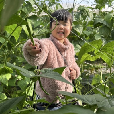 ææ©JASèªèšŒèŸ²åã§æ¥œãã!å°æ©å·ãã¡ãŒã éèã®åç©«äœéš3åæ§ã1666317ã