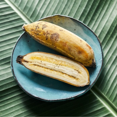 ãæ¯æå®æäŸ¿ã西åçºã®æ œå¹æéäžèŸ²è¬äžäœ¿çšã®ãã ã¯ããã3kgå
š3åã4069633ã