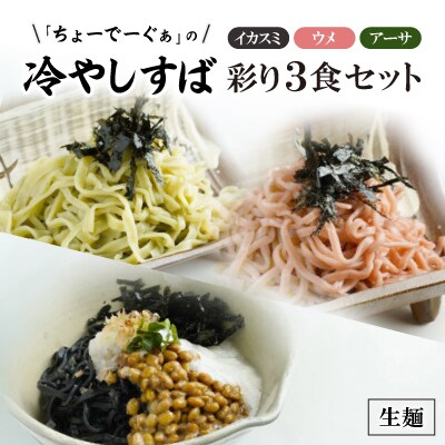 彩り生麺冷やしすば3食セット【配送不可地域：離島】【1523280】