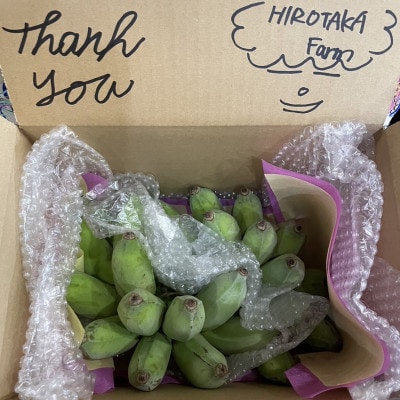 åãããŠè¿œç!食ããæ²çžã¢ããã«ããã2kgã1640917ã