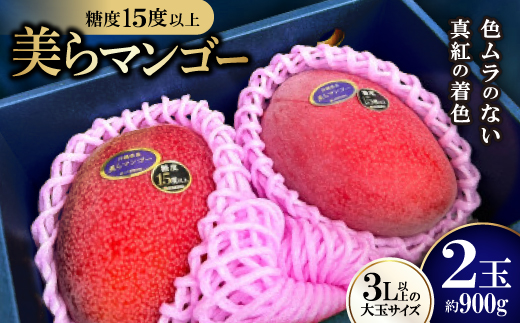 【2026年6月から順次発送・数量限定】糖度15度以上を選別した「美らマンゴー」2玉(約900g)【配送不可地域：離島】【1494045】