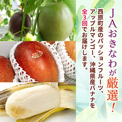 【発送月固定定期便】JAおきなわ厳選フルーツセット(パッションフルーツ・マンゴー・島バナナ)全3回【配送不可地域：離島】【4080887】