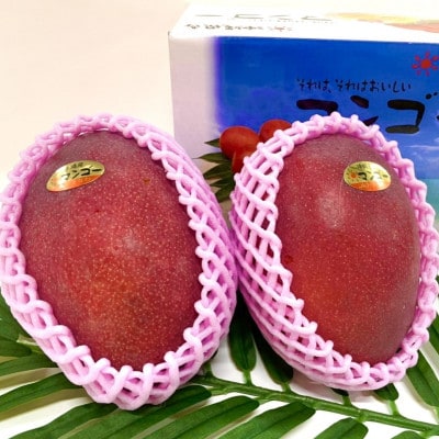 【2026年6月から順次発送・化粧箱】JA厳選のアップルマンゴー1kg(2〜3玉)【配送不可地域：離島】【1494042】