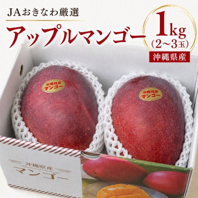 【2026年6月から順次発送・化粧箱】JA厳選のアップルマンゴー1kg(2〜3玉)【配送不可地域：離島】【1494042】