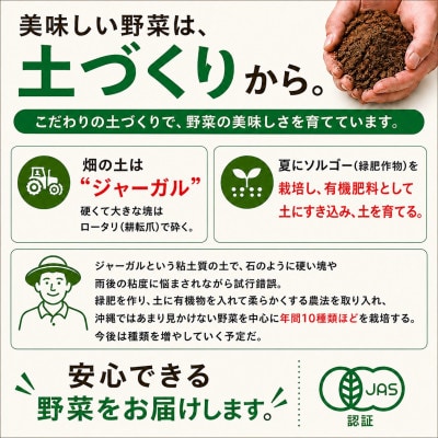 【発送月固定定期便】旬の沖縄野菜(とうもろこし・ナス・オクラ・カリフローレ・スナップエンドウ)全5回【配送不可地域：離島】【4086627】