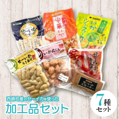 西原町産のせーいかを使った加工品7種セット【配送不可地域：離島】【1564569】