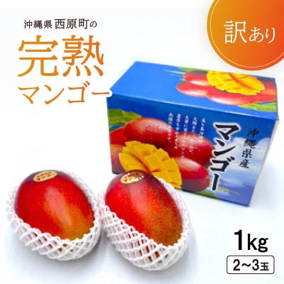 【2025年6月〜7月頃の発送・訳あり】西原町の完熟マンゴー1kg【配送不可地域：離島】【1489416】
