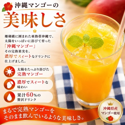 【化粧箱入り】沖縄マンゴー使用!トロピカルギフトセット【1742771】