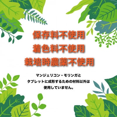 RESCUEマンジェリコンタブレット[モリンガ配合](250mg×90粒)【1550729】