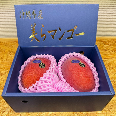 【2026年6月から順次発送・数量限定】糖度15度以上を選別した「美らマンゴー」2玉(約900g)【配送不可地域：離島】【1494045】