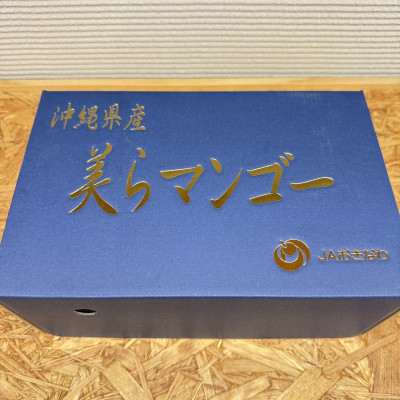 【2026年6月から順次発送・数量限定】糖度15度以上を選別した「美らマンゴー」2玉(約900g)【配送不可地域：離島】【1494045】