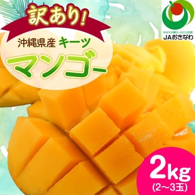 【2026年8月から順次発送・訳あり】JAおきなわ厳選!沖縄県産キーツマンゴー2kg(2〜3玉)【配送不可地域：離島】【1494452】
