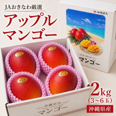 【2026年6月から順次発送・化粧箱】JA厳選のアップルマンゴー2kg(3〜6玉)【配送不可地域：離島】【1494044】