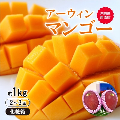 【2026年6月から順次発送・化粧箱】JA厳選のアップルマンゴー1kg(2〜3玉)【配送不可地域：離島】【1494042】