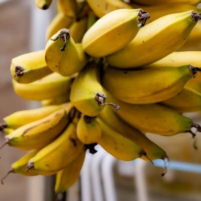 JAãããªããå³éž!å£ç¯ã®æ²çžçç£ãããçŽ2kg(æ¬ã®åçš®ããŸãã)ã1694030ã