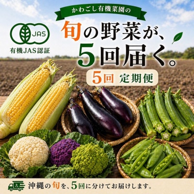 【発送月固定定期便】旬の沖縄野菜(とうもろこし・ナス・オクラ・カリフローレ・スナップエンドウ)全5回【配送不可地域：離島】【4086627】