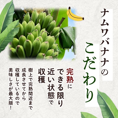 西原町の栽培期間中農薬不使用のナムワバナナ10kg【1616149】
