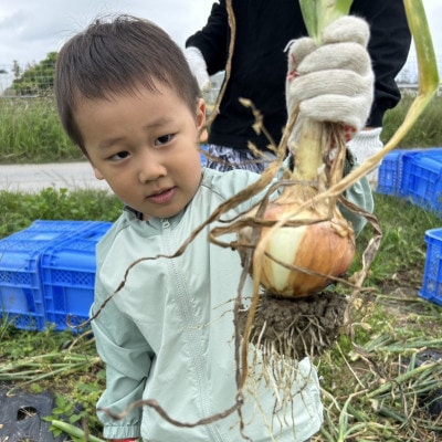 有機JAS認証農園で楽しむ!小橋川ファーム野菜の収穫体験1名様【1666288】
