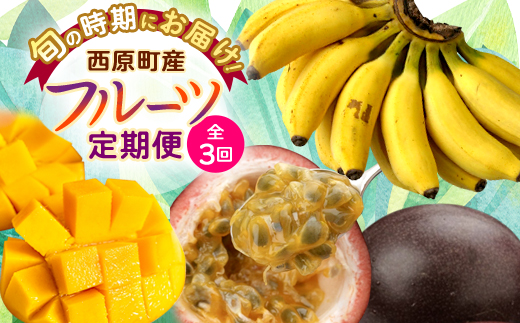【発送月固定定期便】JAおきなわ厳選フルーツセット(パッションフルーツ・マンゴー・島バナナ)全3回【配送不可地域：離島】【4080887】
