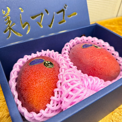 【2026年6月から順次発送・数量限定】糖度15度以上を選別した「美らマンゴー」2玉(約900g)【配送不可地域：離島】【1494045】