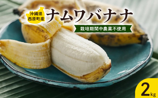西原町の栽培期間中農薬不使用のナムワバナナ2kg【1616140】