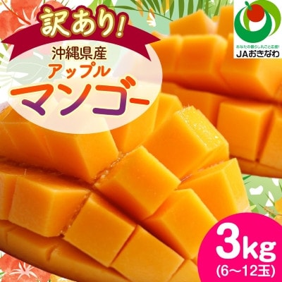 【2026年6月から順次発送・訳あり】アップルマンゴー3.0kg(6〜12玉)【配送不可地域：離島】【1494041】