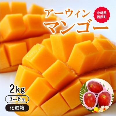 【2026年6月から順次発送・化粧箱】JA厳選のアップルマンゴー2kg(3〜6玉)【配送不可地域：離島】【1494044】