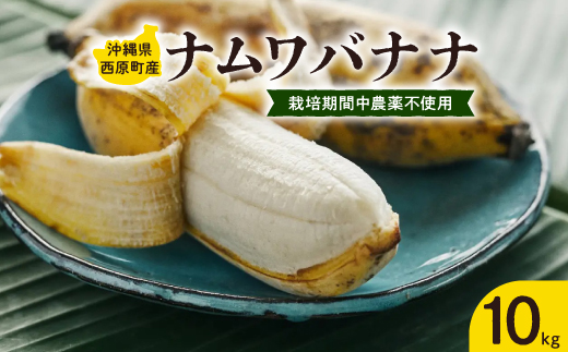 西原町の栽培期間中農薬不使用のナムワバナナ10kg【1616149】